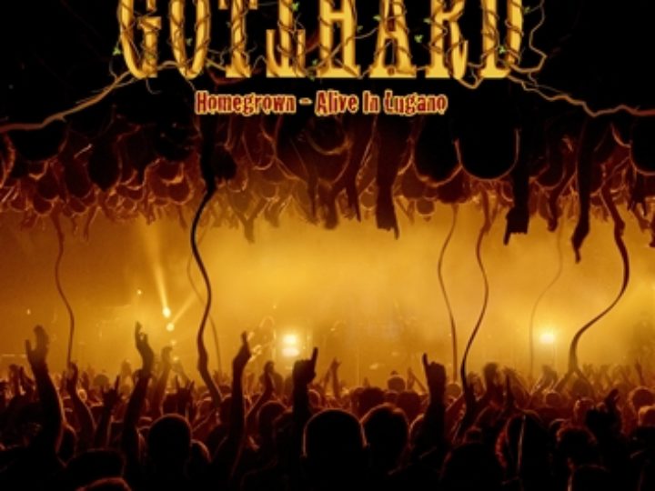 Gotthard: Homegrown Live in Lugano