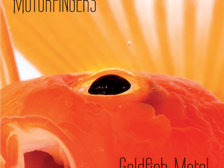 Motorfingers – Goldfish Motel