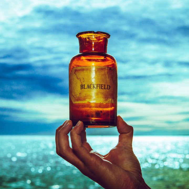 Blackfield – V