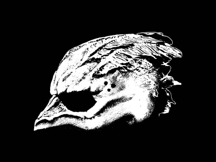 Legend Of The Seagullmen – Legend Of The Seagullmen