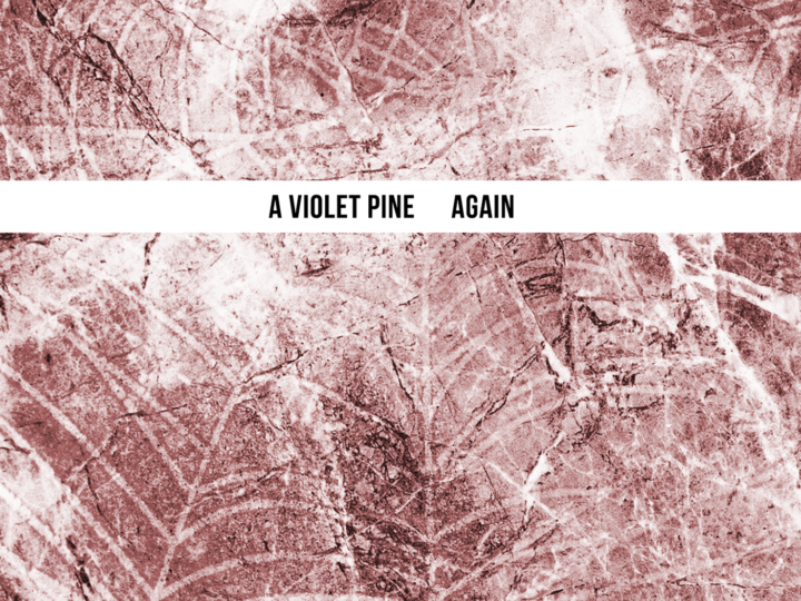 A Violet Pine – Again