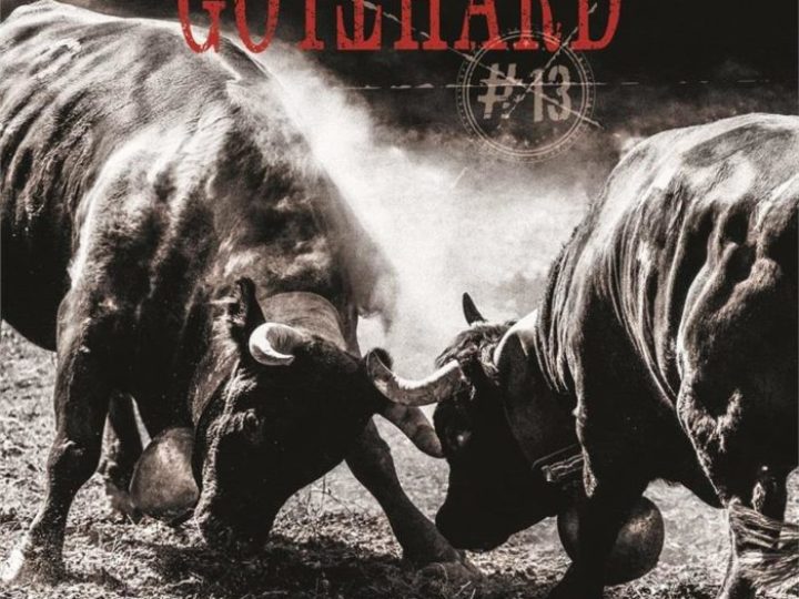 Gotthard – #13