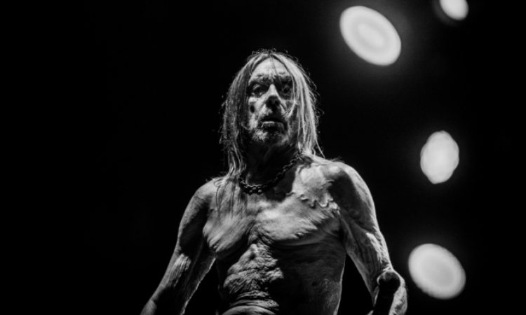 Iggy Pop, annuncia il nuovo album ‘Every Loser’