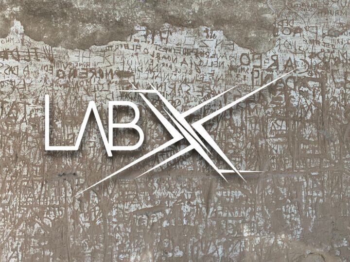 Lab X – Ikigai