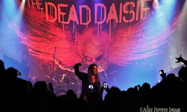 The Dead Daisies, arriva il primo singolo  ‘Light ‘Em Up’