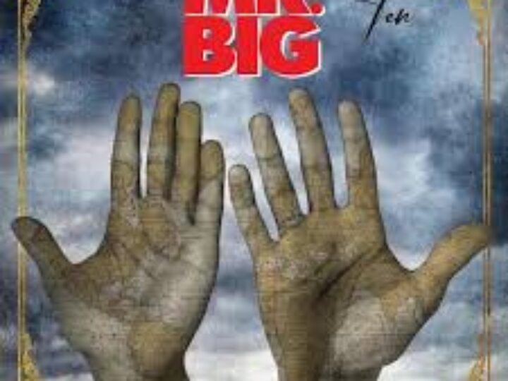 Mr Big – Ten