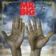 Mr Big – Ten